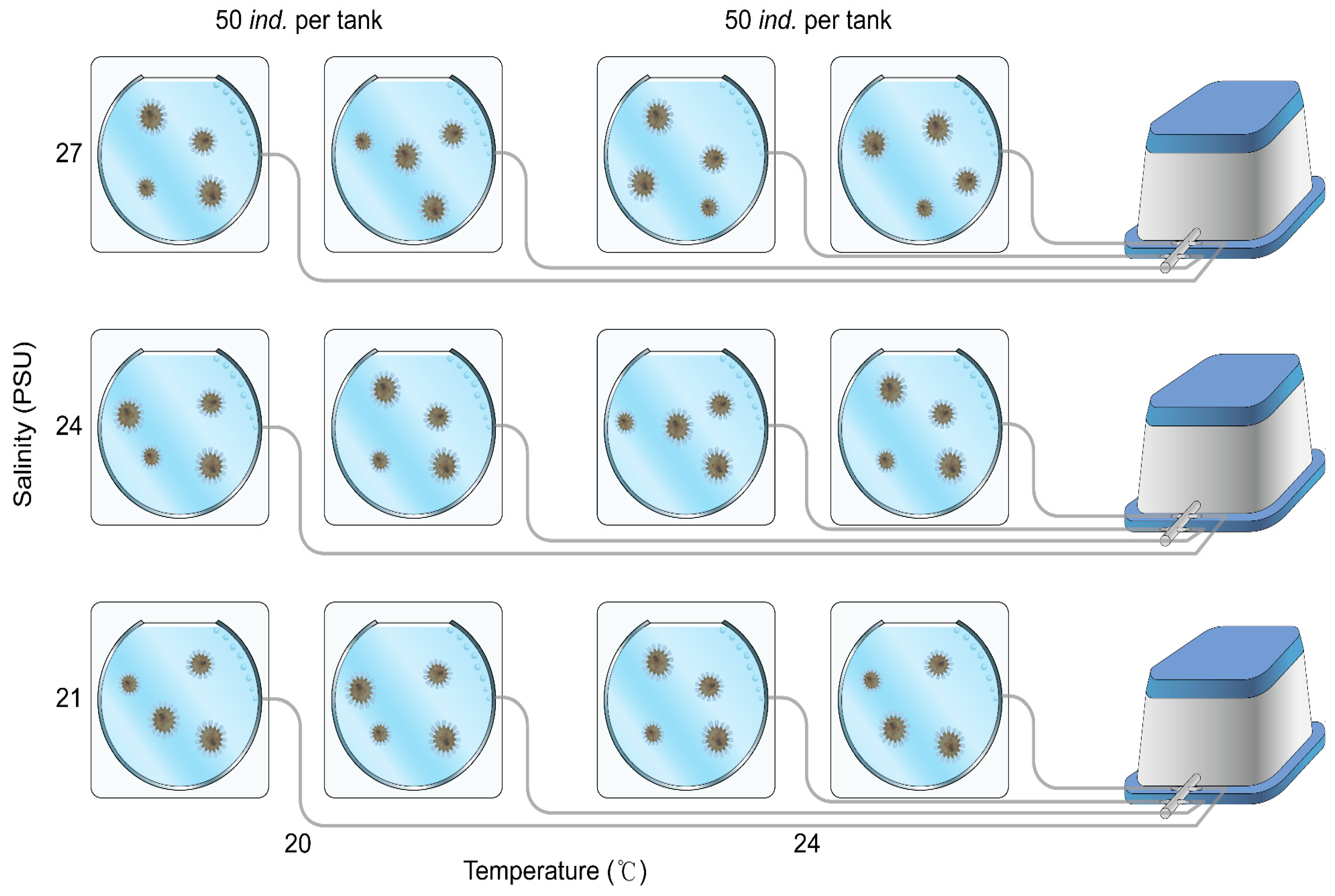 Diversity 17 00239 g001 Diversity 17 00239 g001