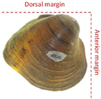 Diversity 17 00298 i027