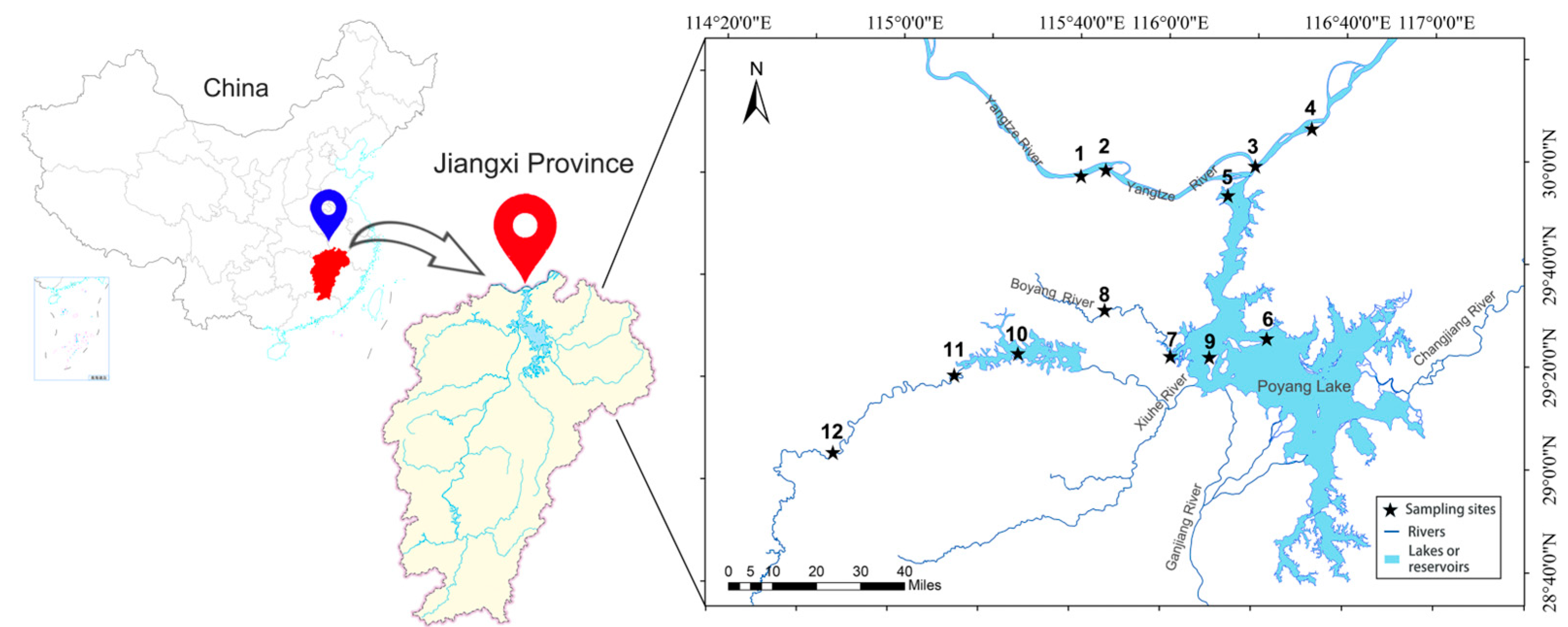 Diversity 17 00301 g001 Diversity 17 00301 g001