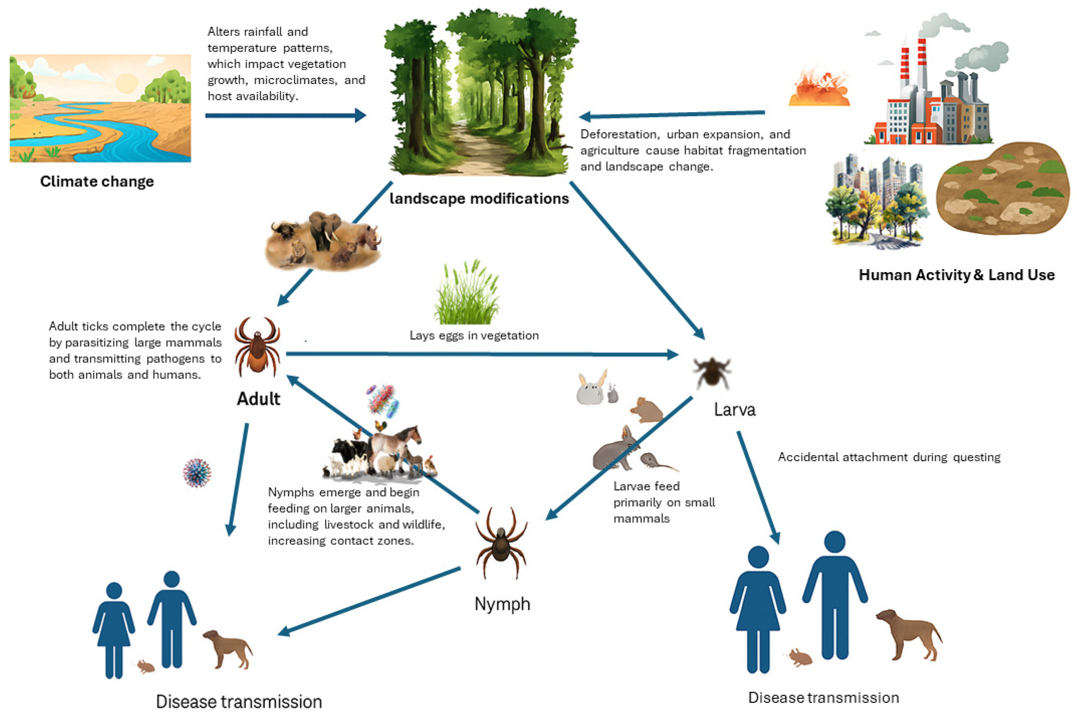 Diversity 17 00314 g001