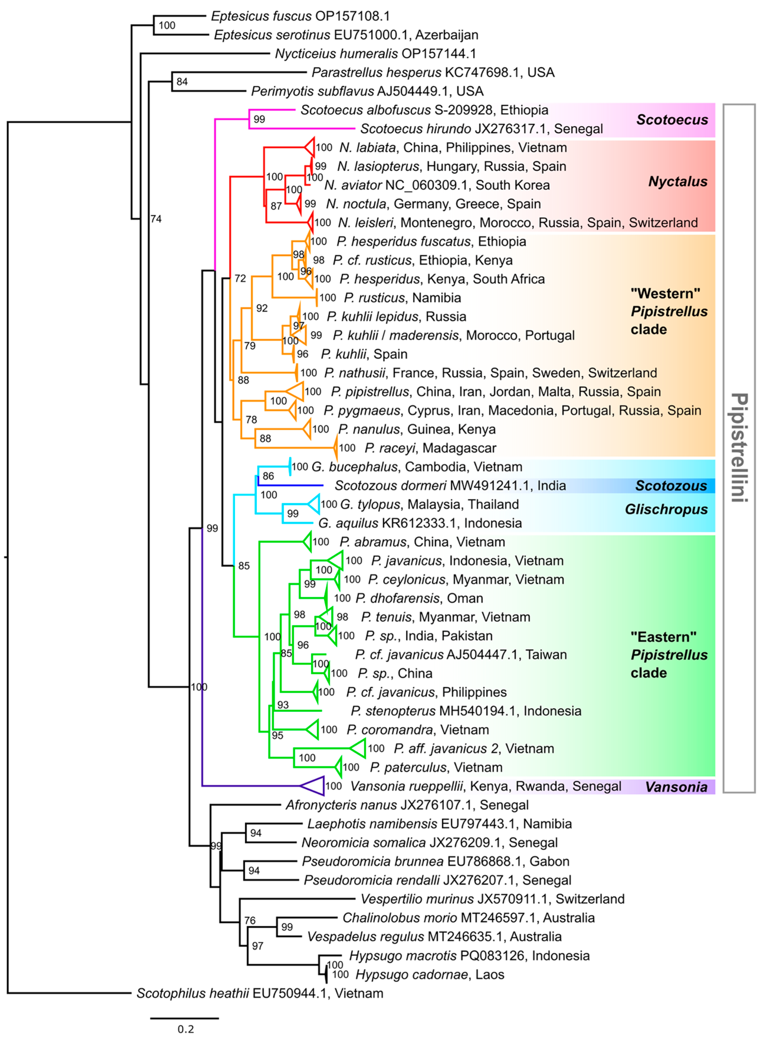 Diversity 17 00317 g001