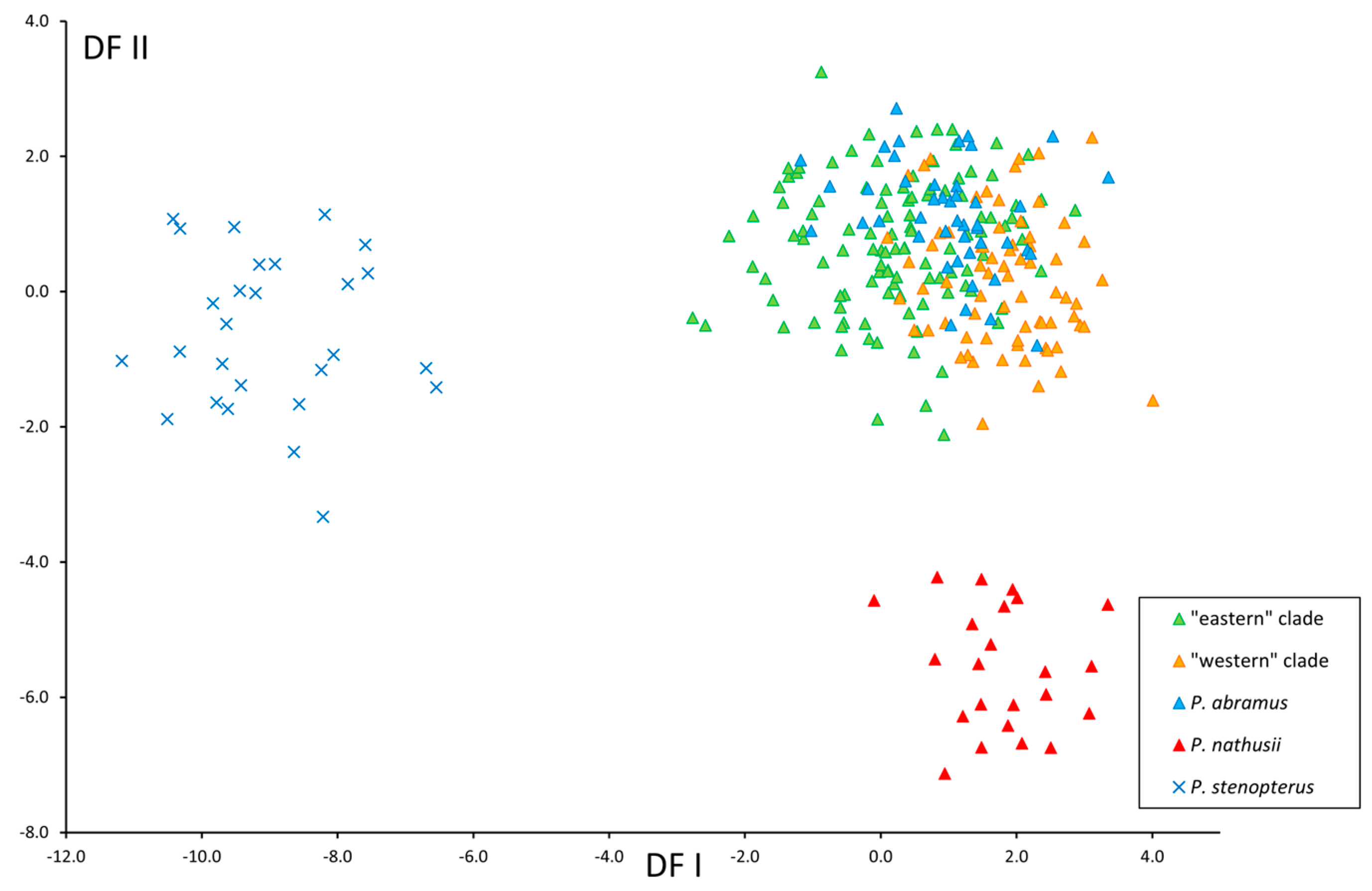 Diversity 17 00317 g004