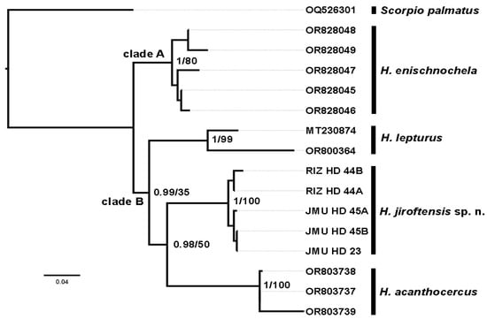 Diversity 17 00321 g002