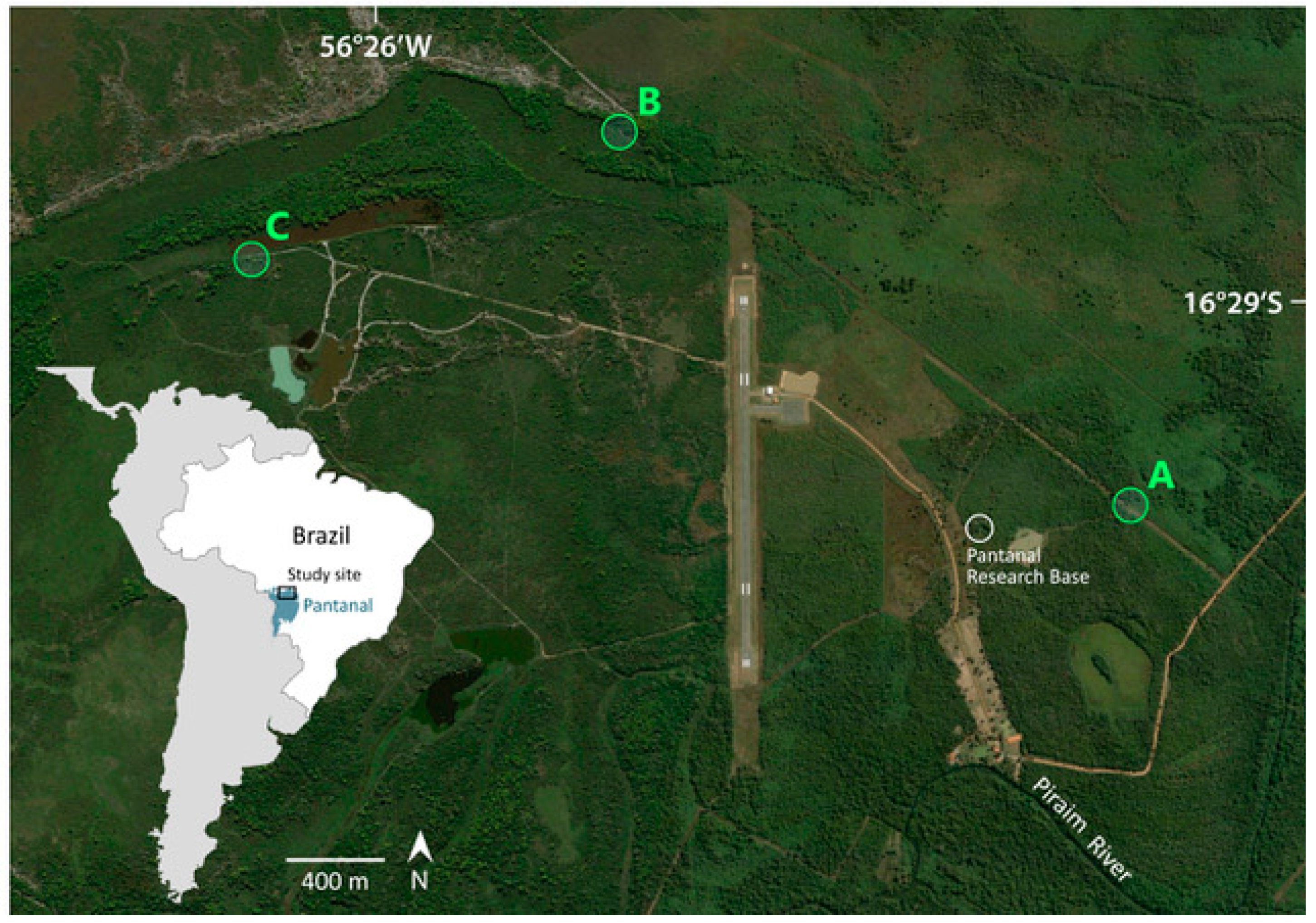 Diversity 17 00324 i001