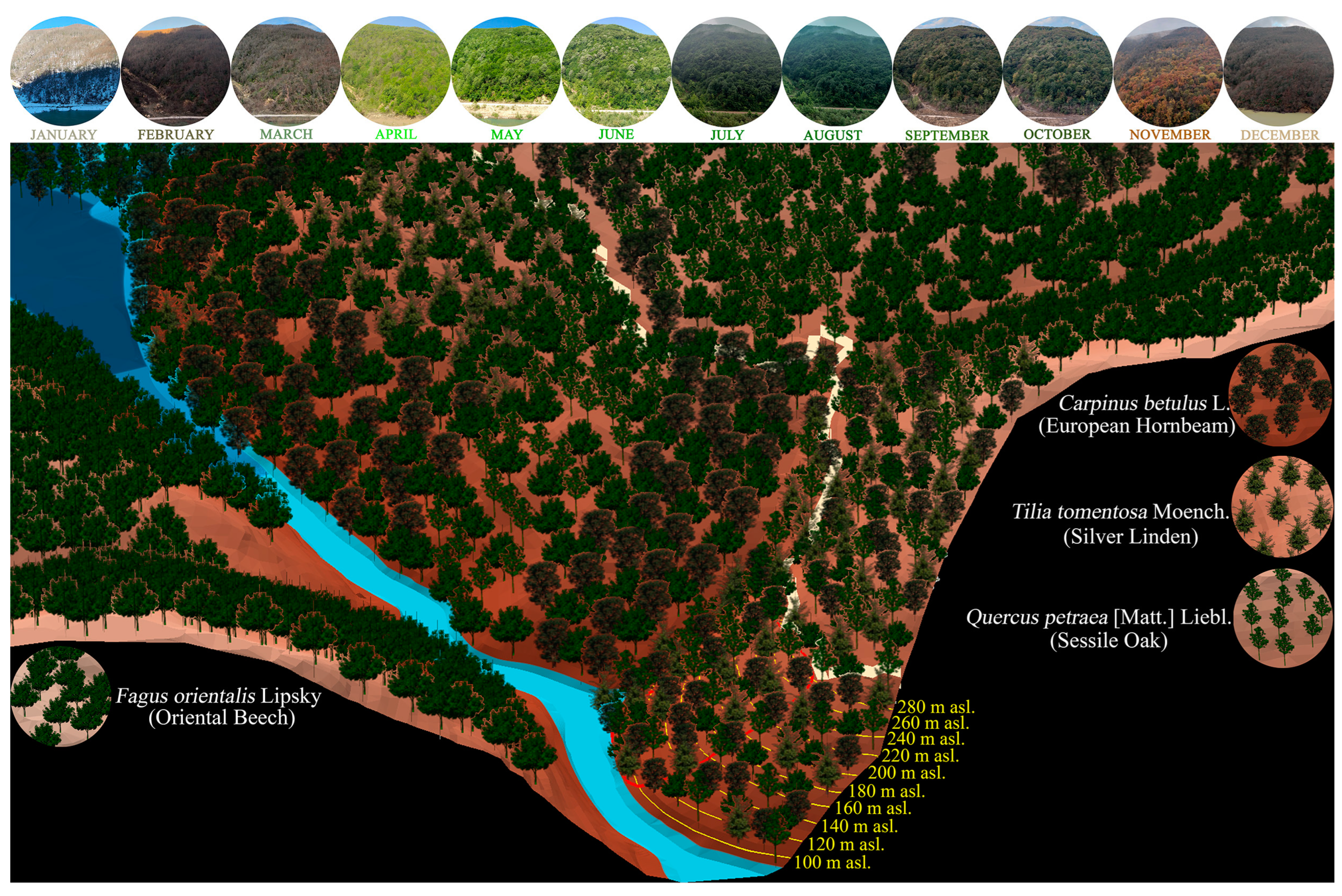 Diversity 17 00331 g003