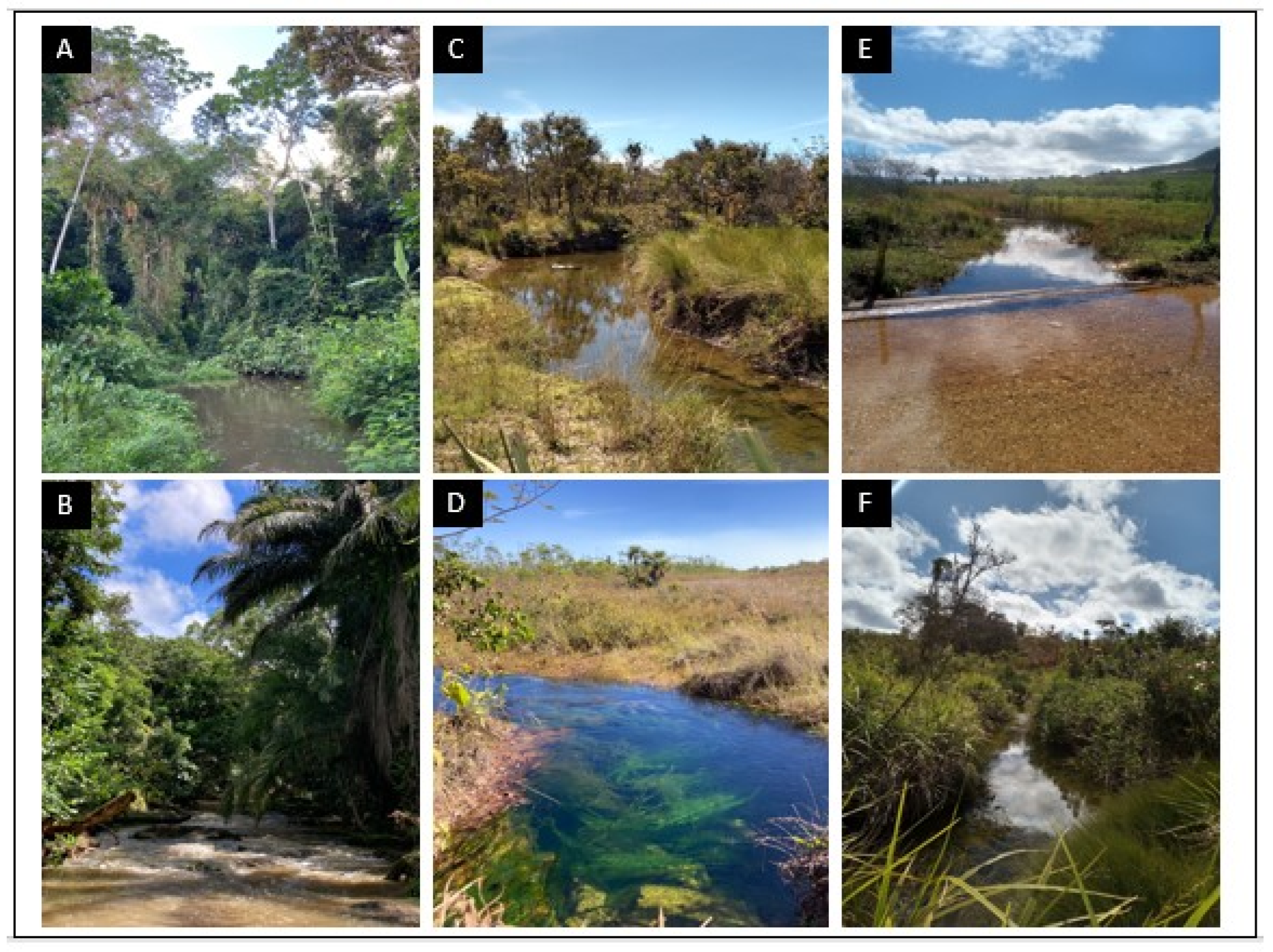 Diversity 17 00345 g002