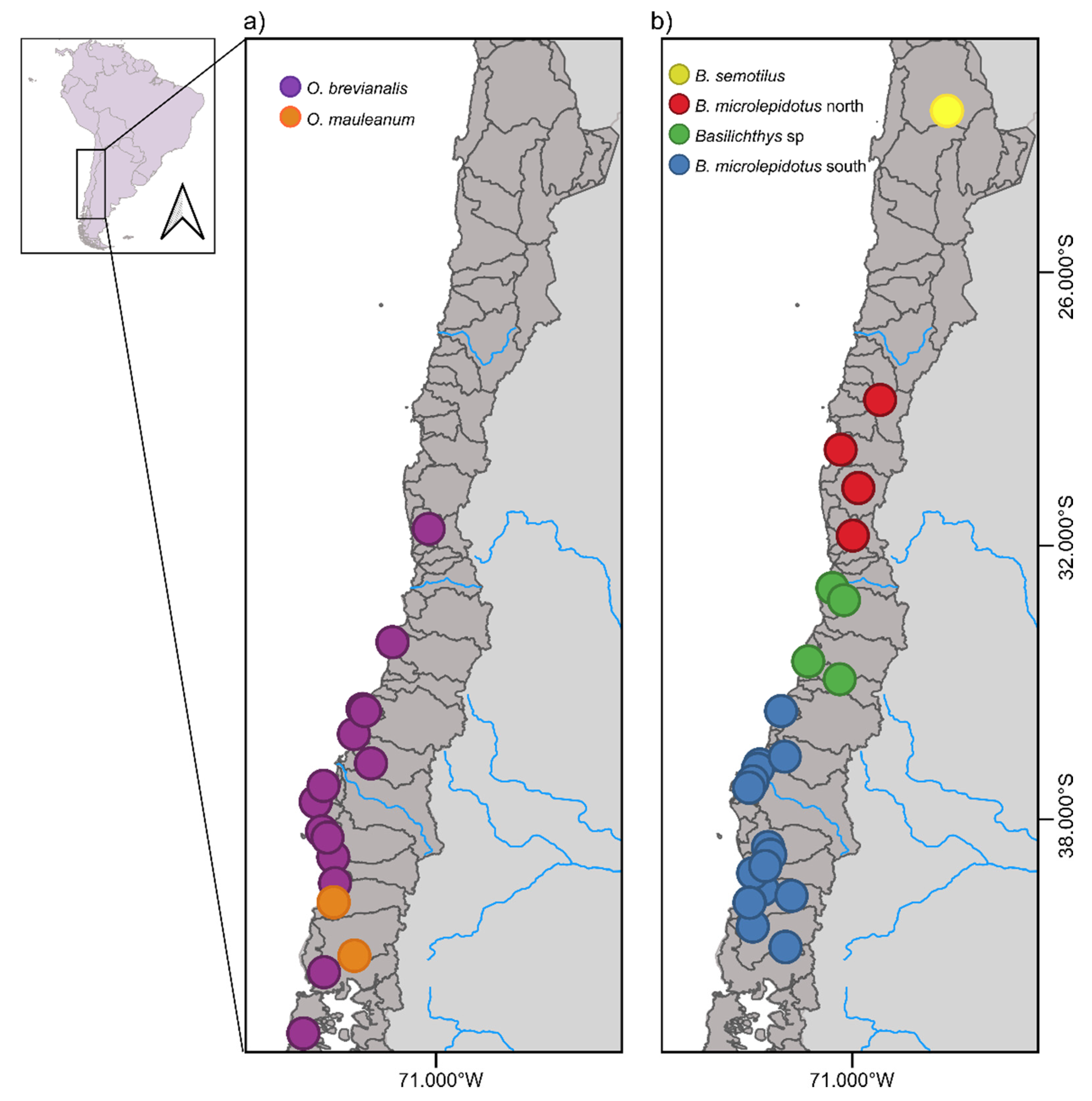 Diversity 17 00347 g001