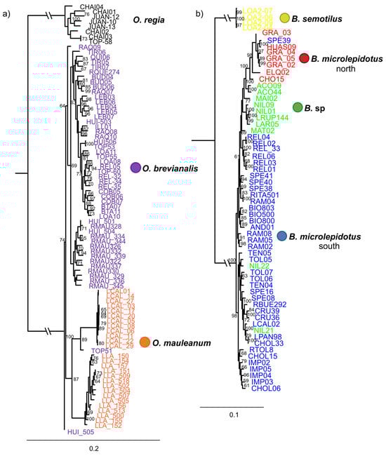 Diversity 17 00347 g002