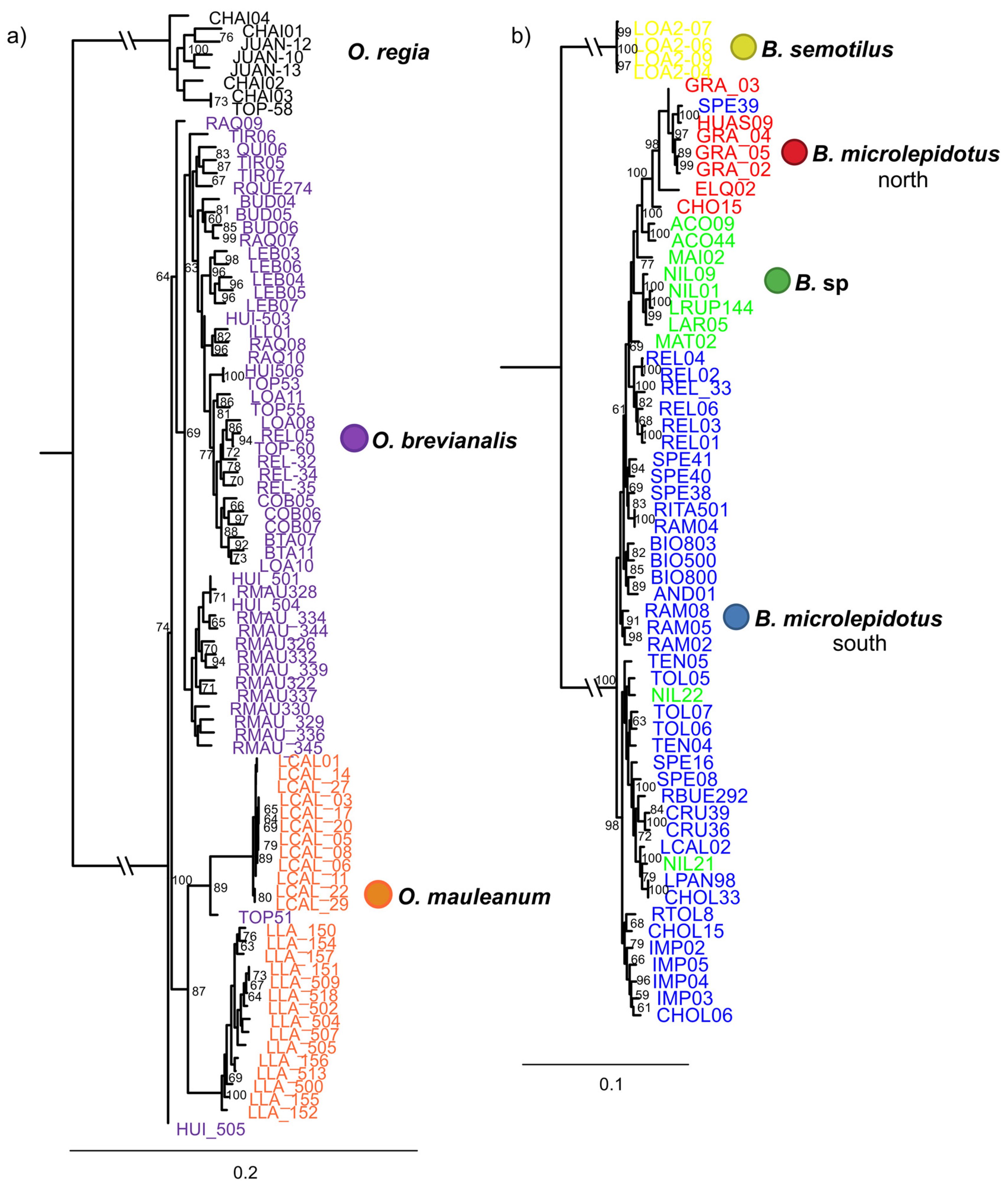 Diversity 17 00347 g002