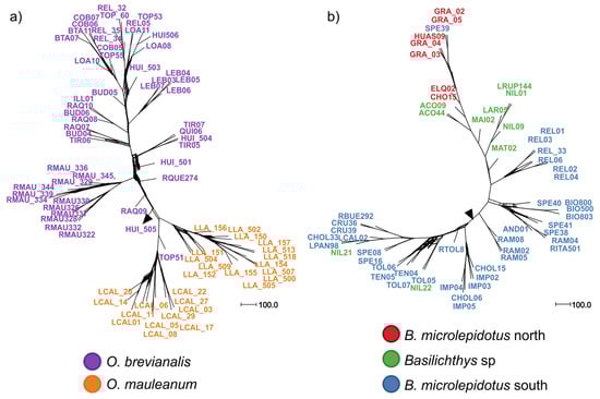 Diversity 17 00347 g003