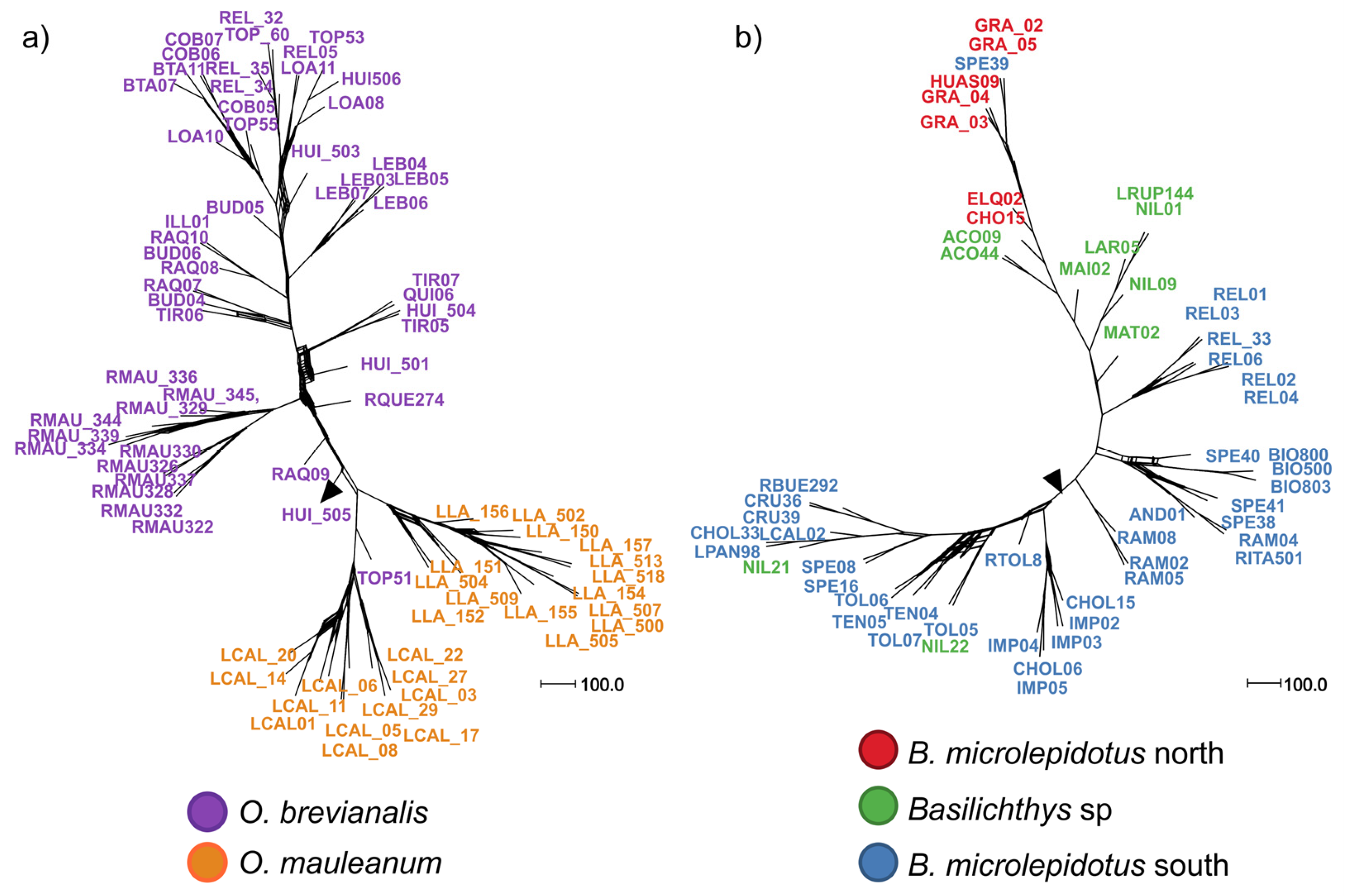 Diversity 17 00347 g003