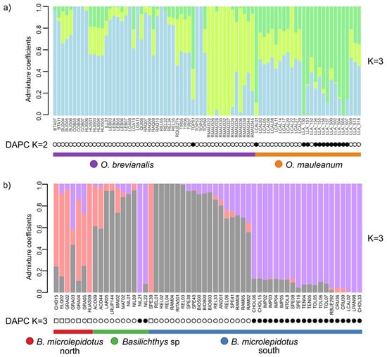 Diversity 17 00347 g004