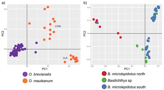 Diversity 17 00347 g005