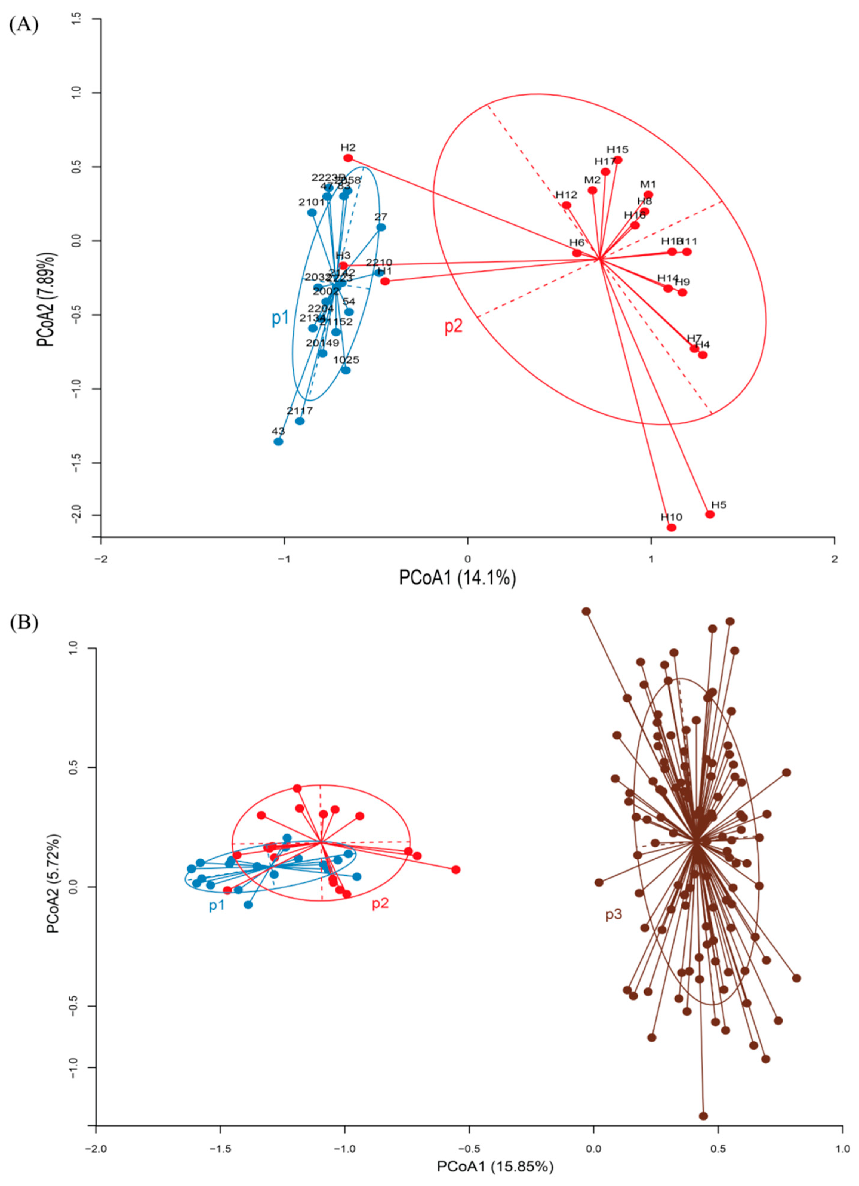 Diversity 17 00353 g002