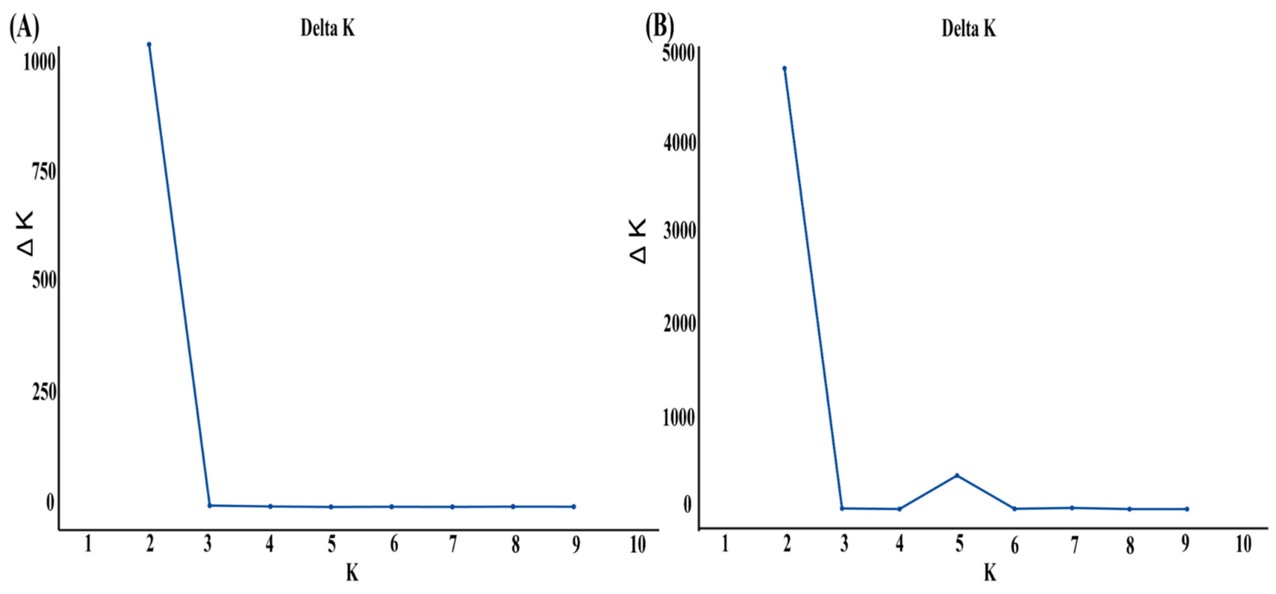 Diversity 17 00353 g003
