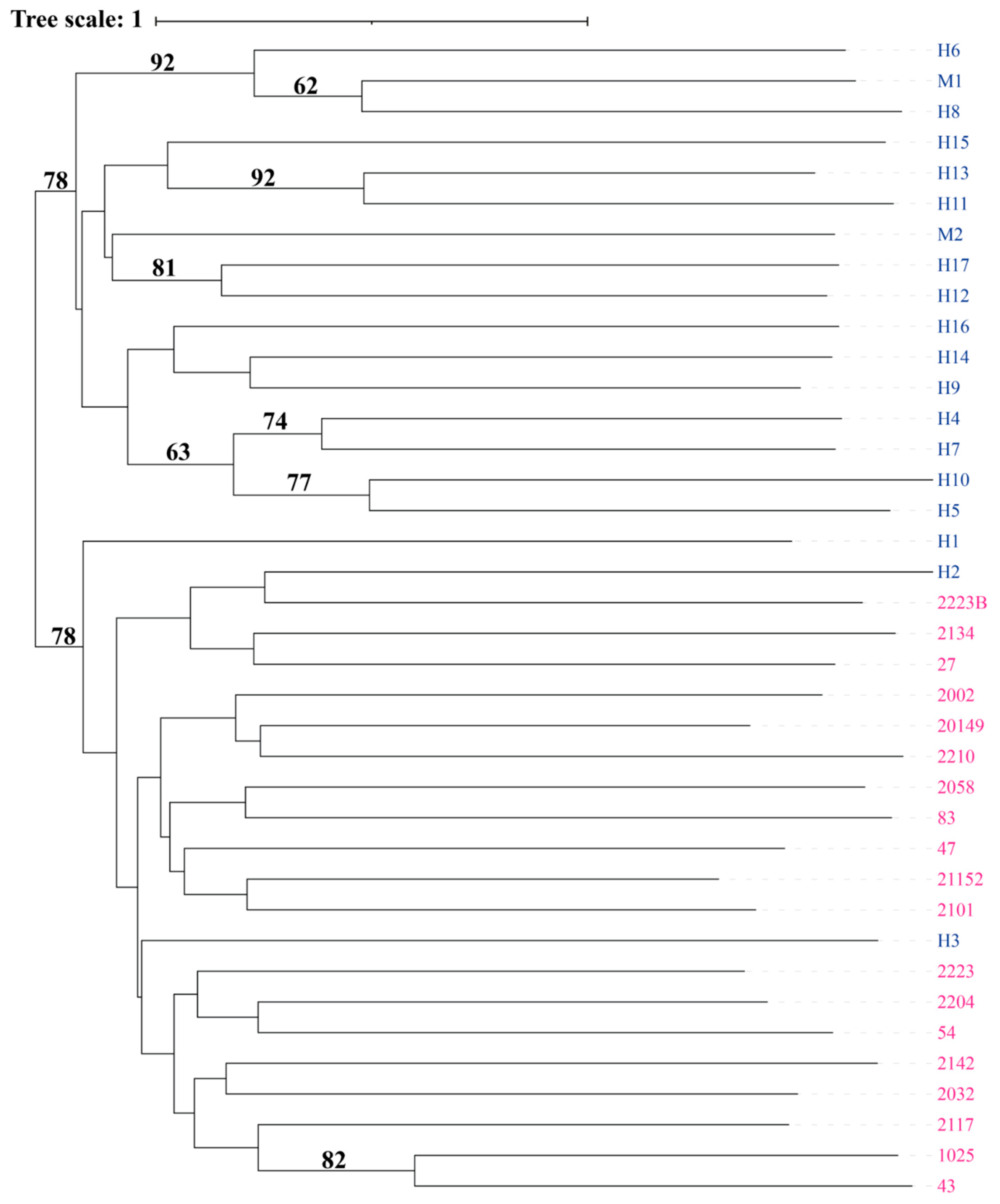 Diversity 17 00353 g005