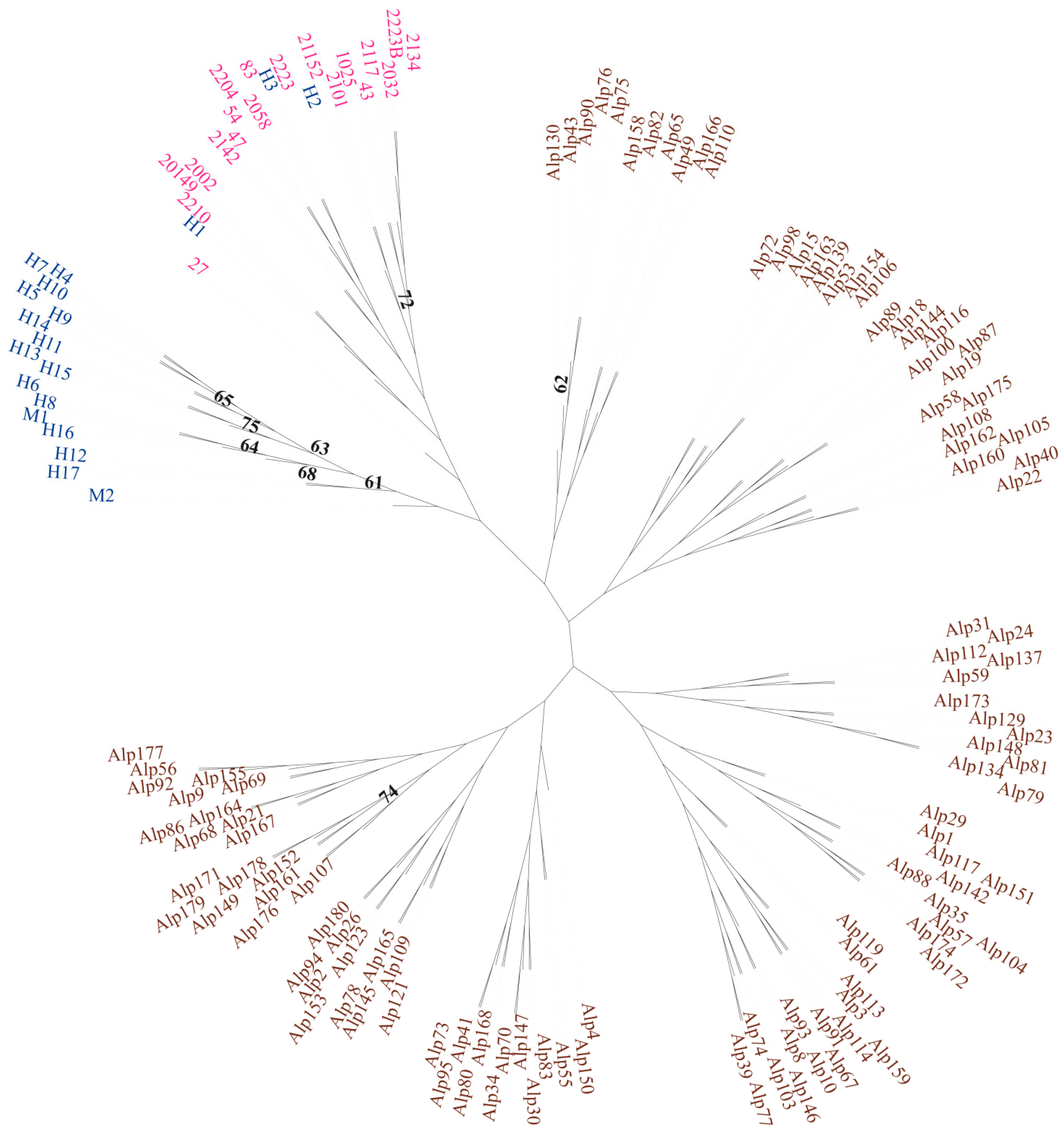 Diversity 17 00353 g006