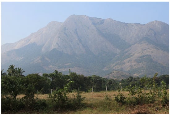 Diversity 17 00354 g004