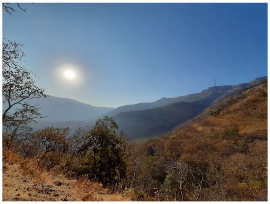 Diversity 17 00354 g007