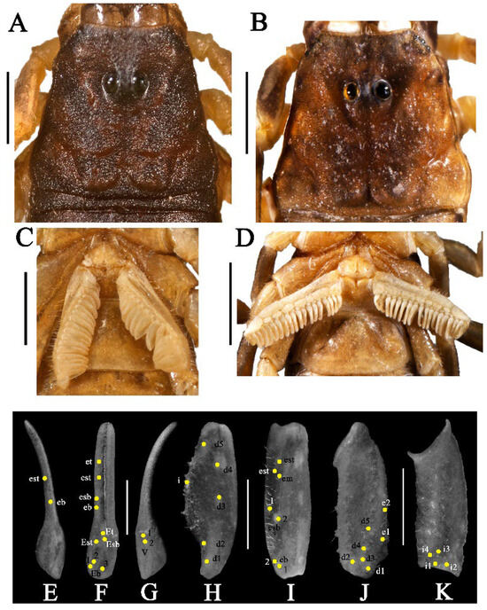 Diversity 17 00354 g013