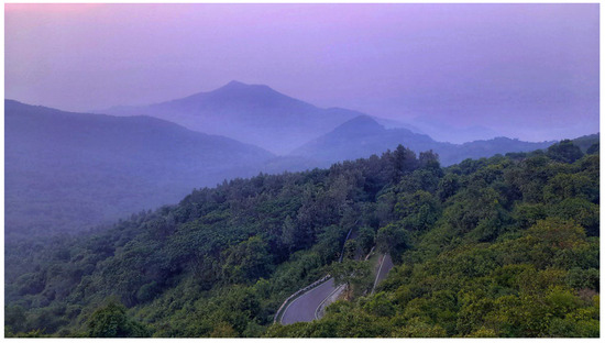 Diversity 17 00354 g014