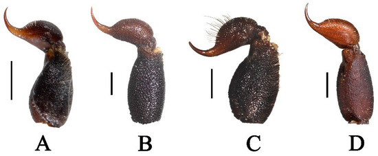 Diversity 17 00354 g020