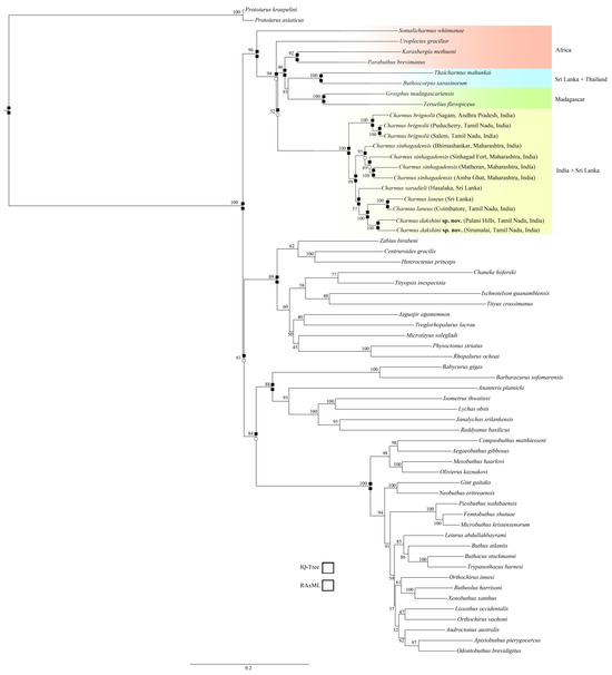 Diversity 17 00354 g021