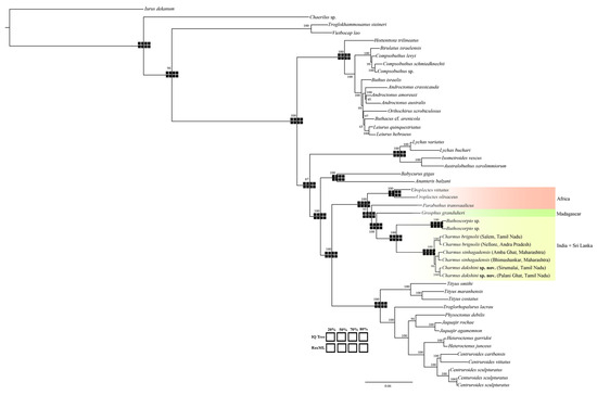 Diversity 17 00354 g022