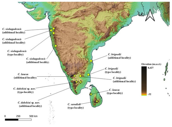 Diversity 17 00354 g023
