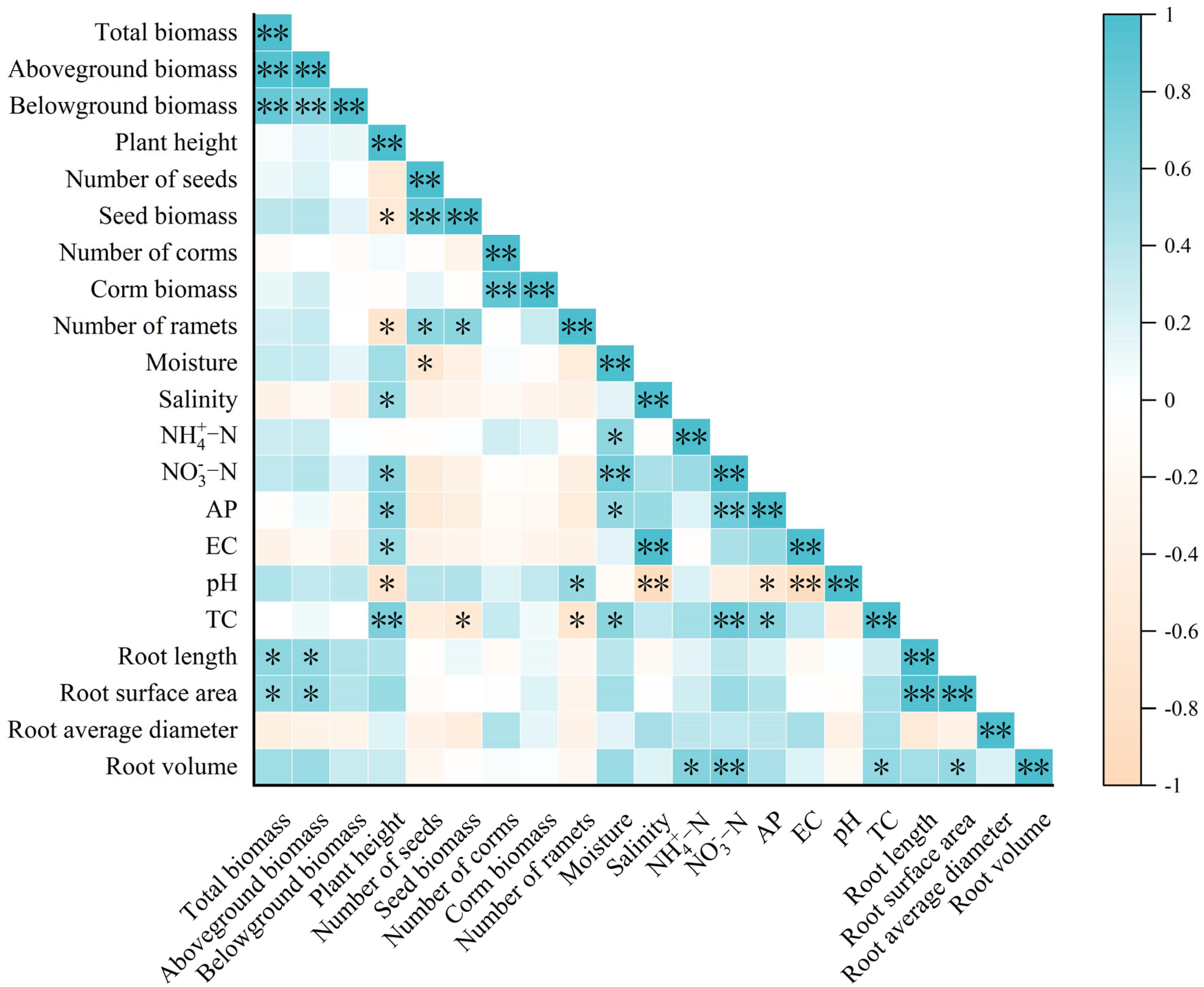 Diversity 17 00357 g004