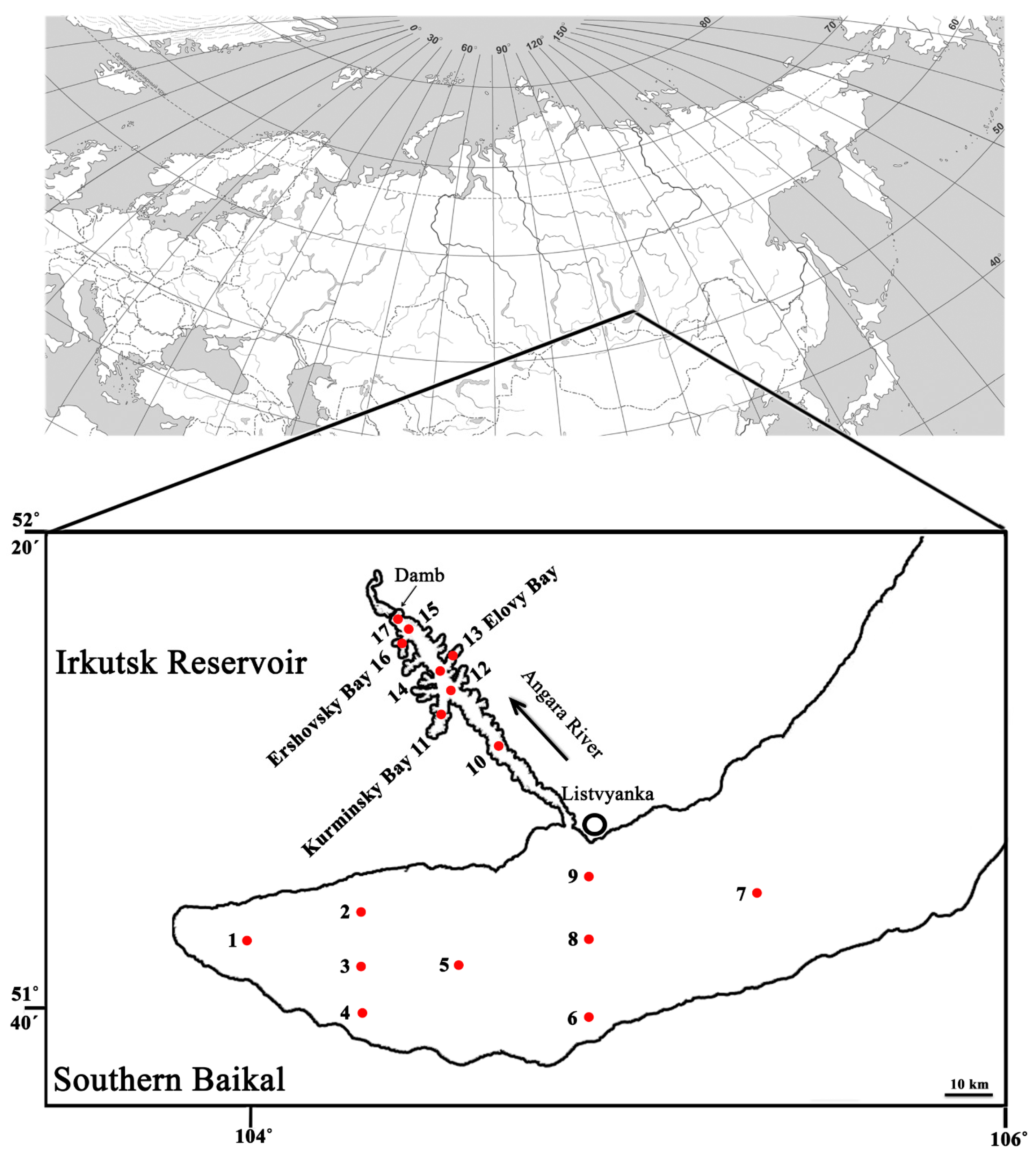 Diversity 17 00369 g001