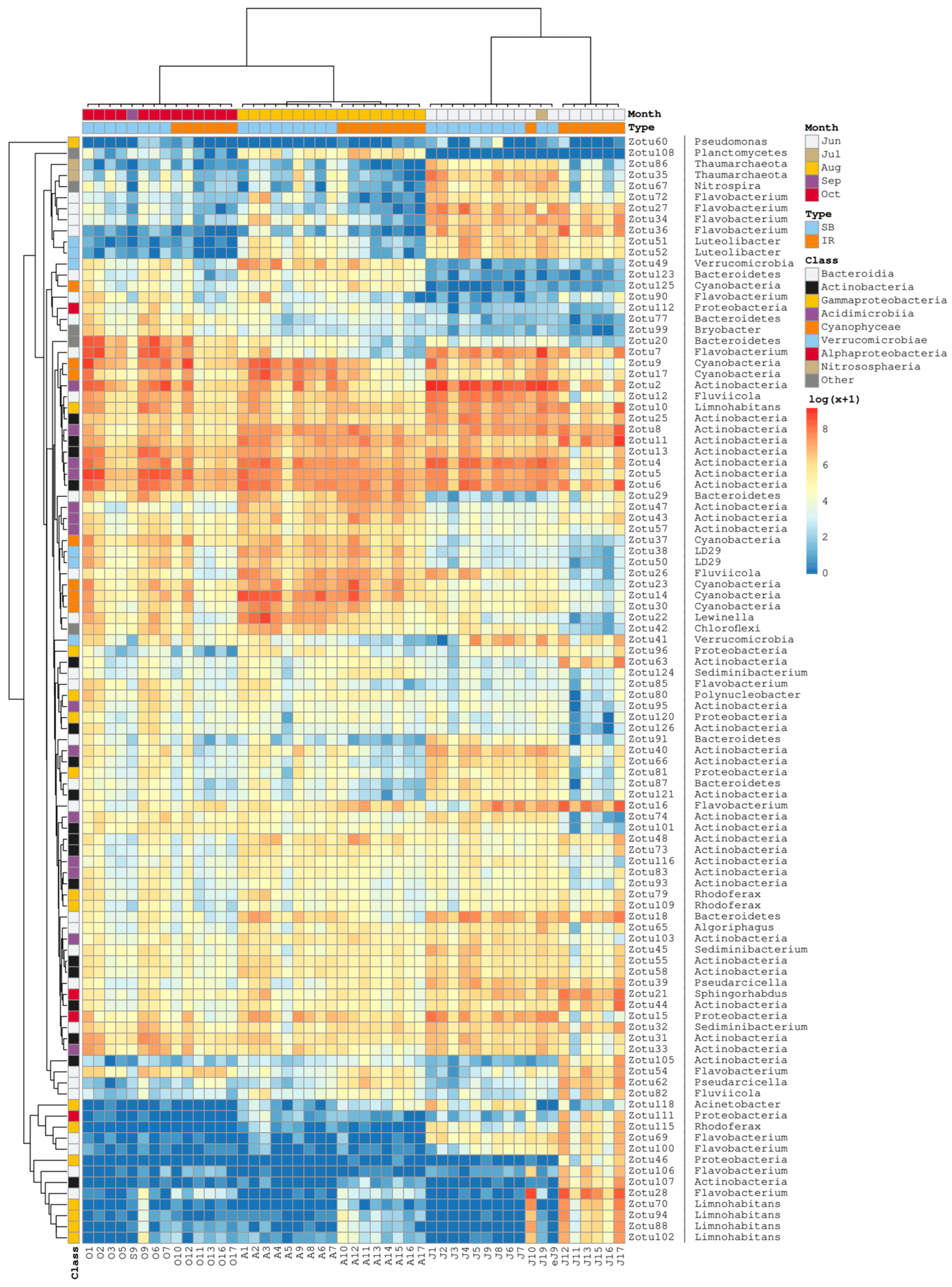 Diversity 17 00369 g007