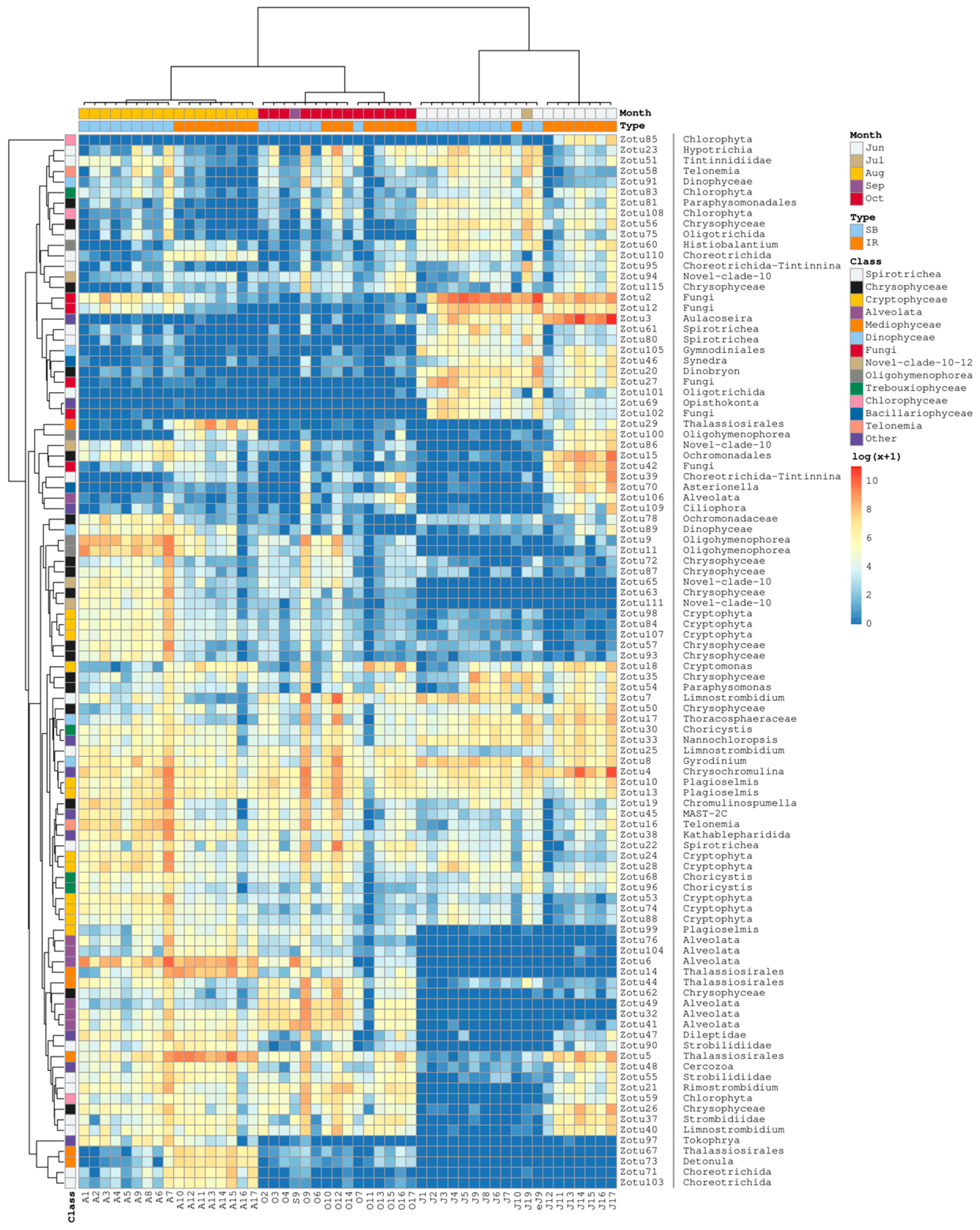Diversity 17 00369 g008