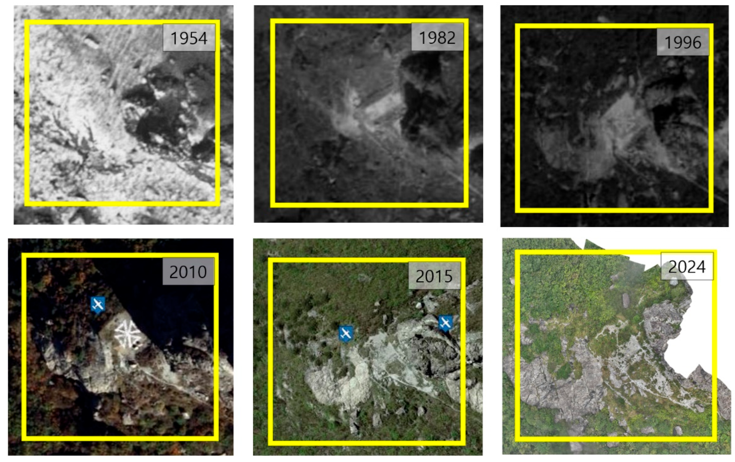 Diversity 17 00377 g002