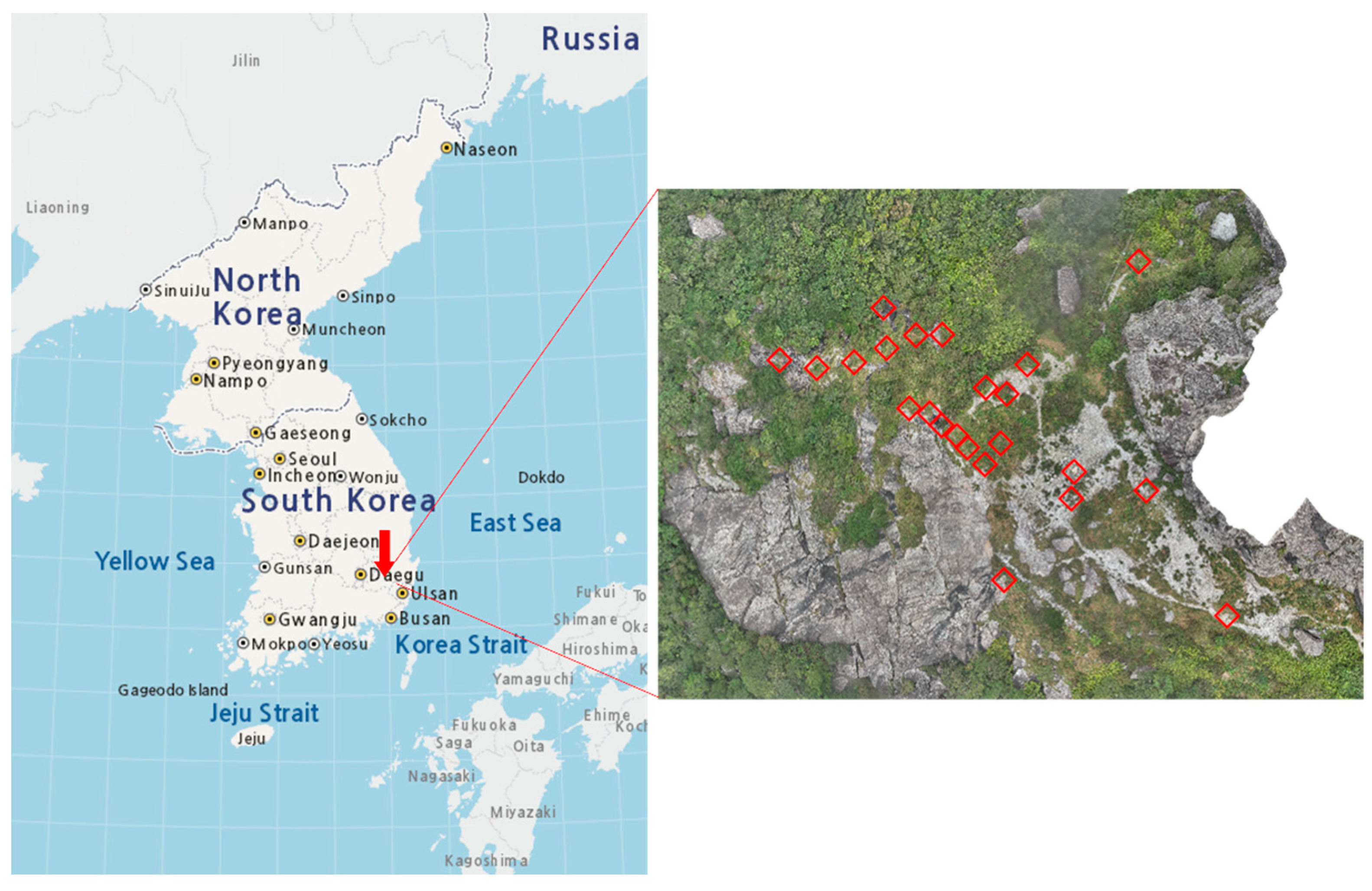 Diversity 17 00377 g0a1