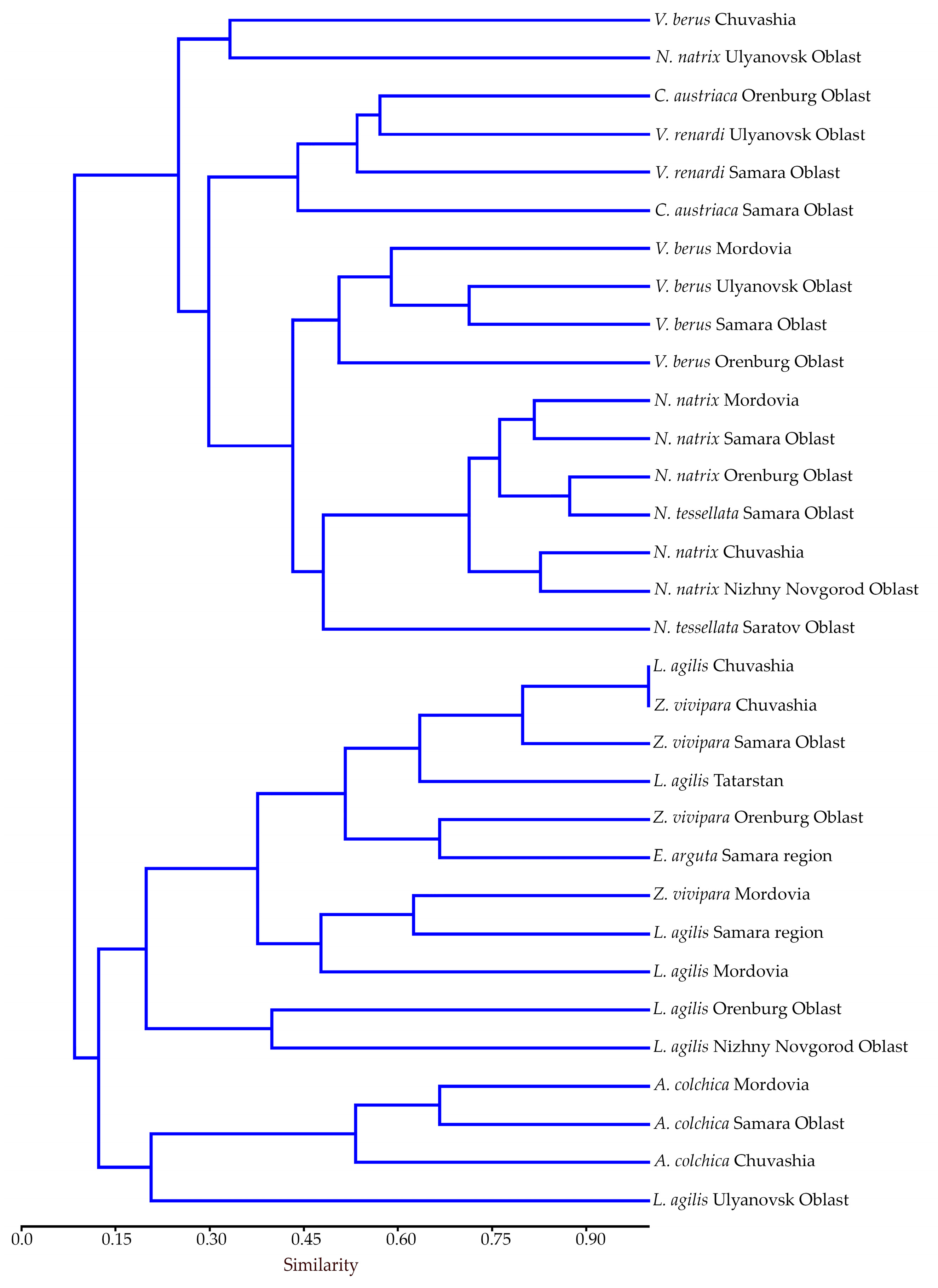 Diversity 17 00380 g004