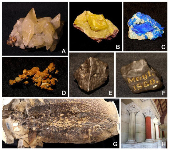 Diversity 17 00392 g001