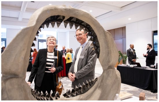 Diversity 17 00392 g002