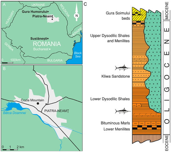 Diversity 17 00393 g001