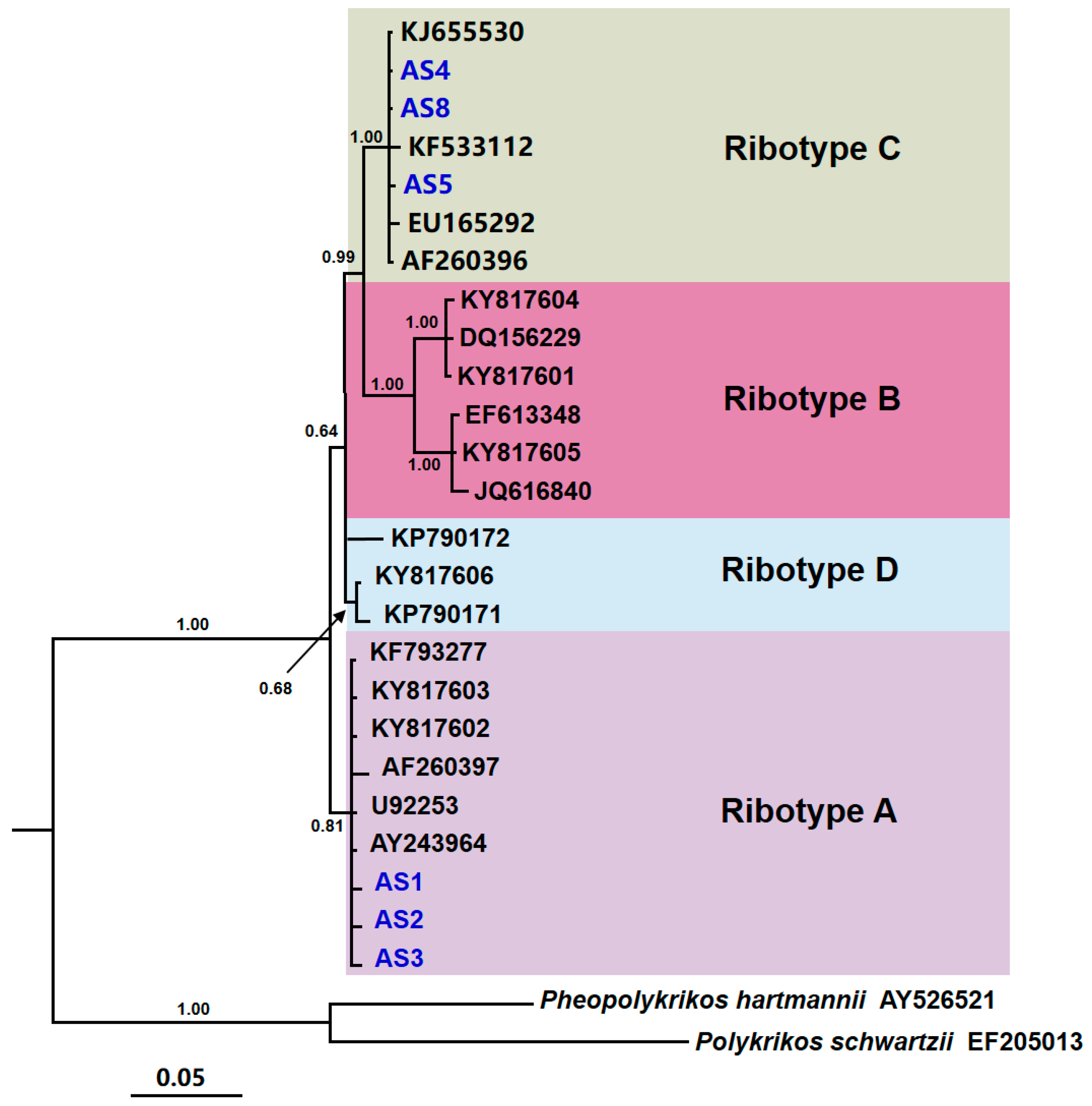 Diversity 17 00400 g001