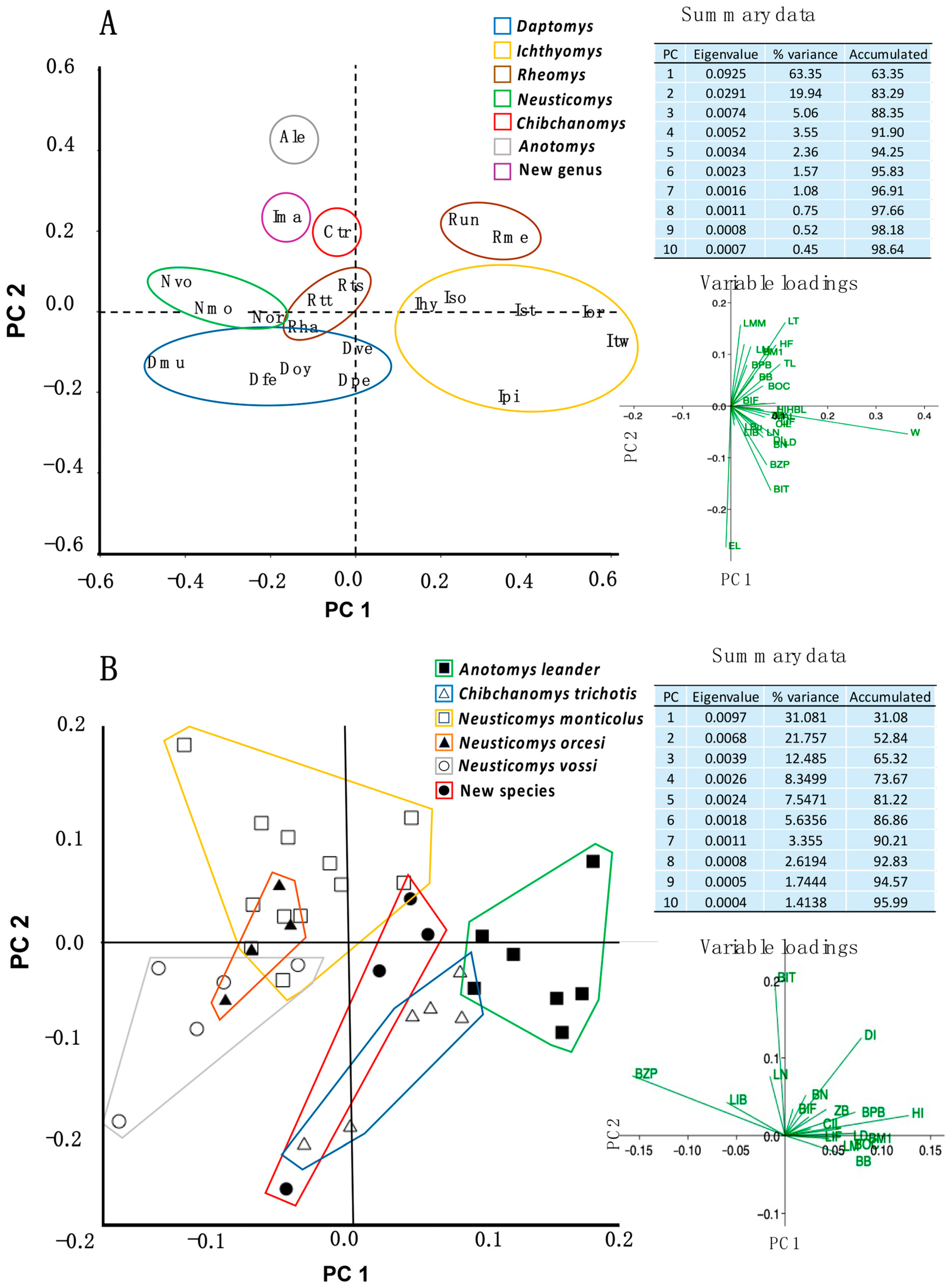 Diversity 17 00406 g002