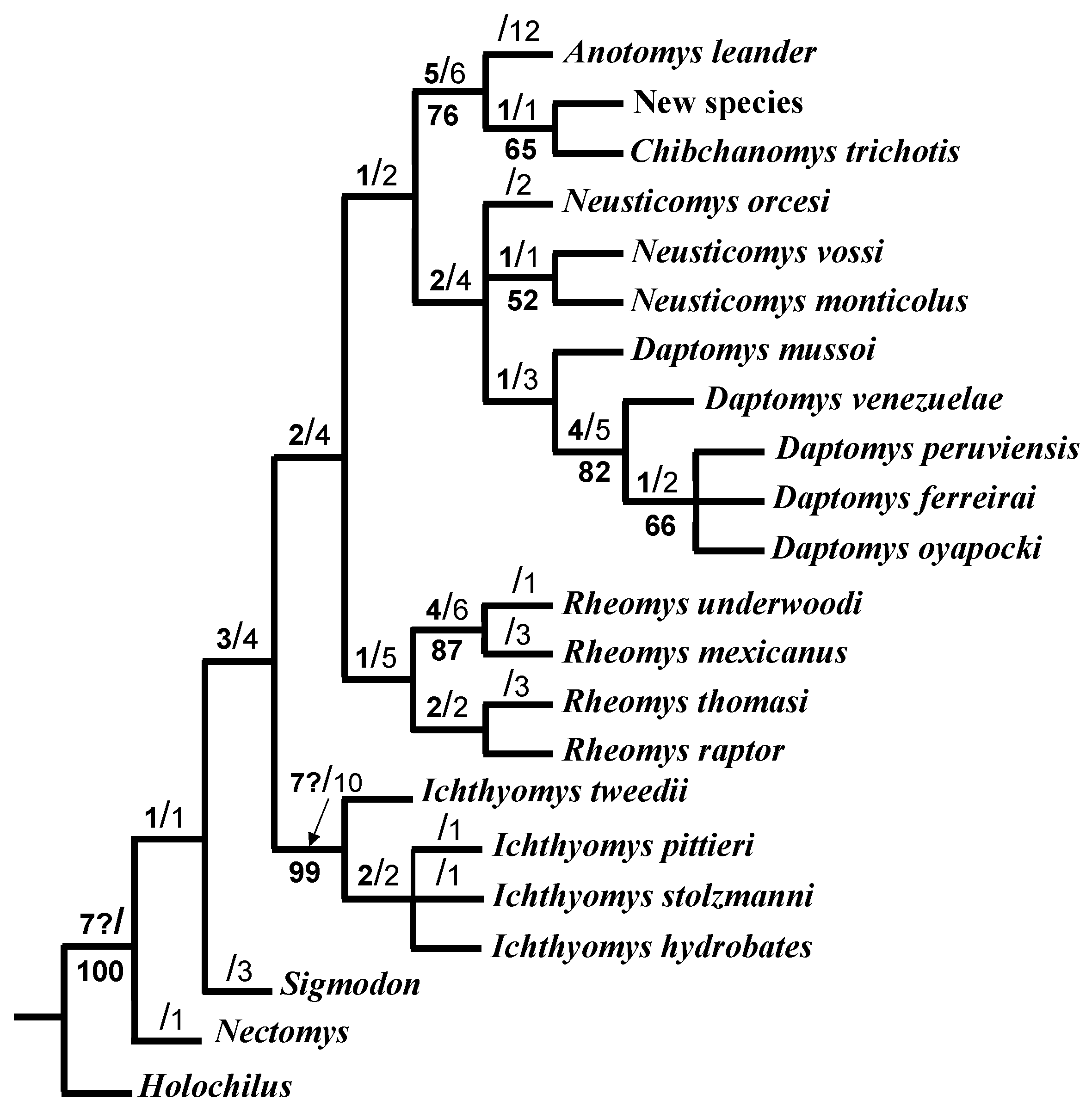 Diversity 17 00406 g005