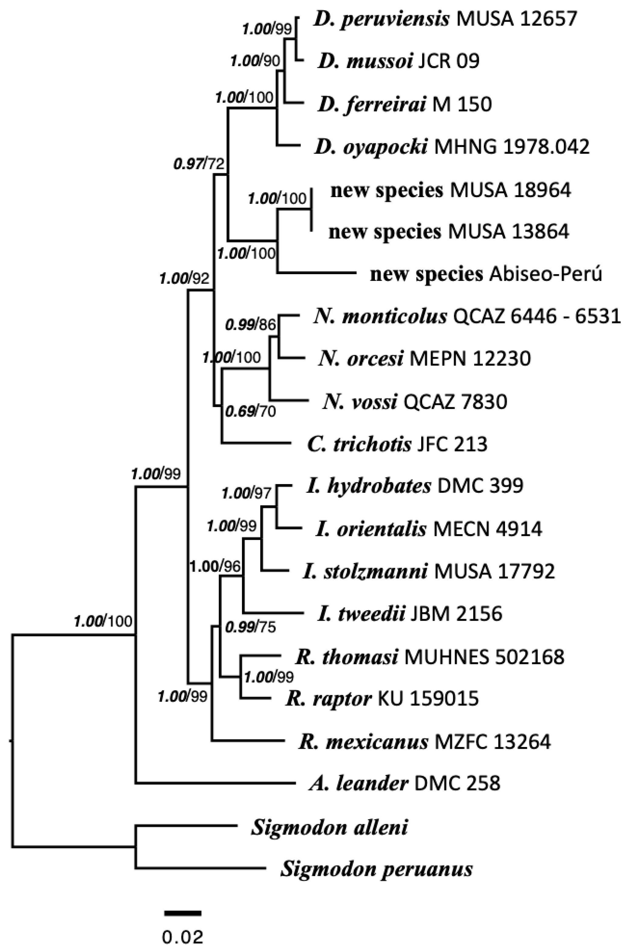 Diversity 17 00406 g006