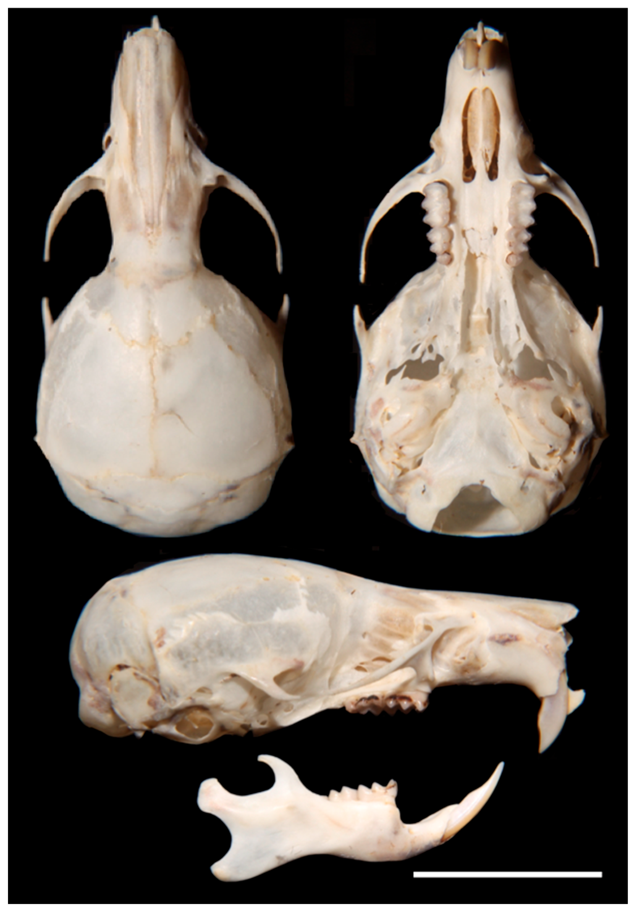 Diversity 17 00406 g008