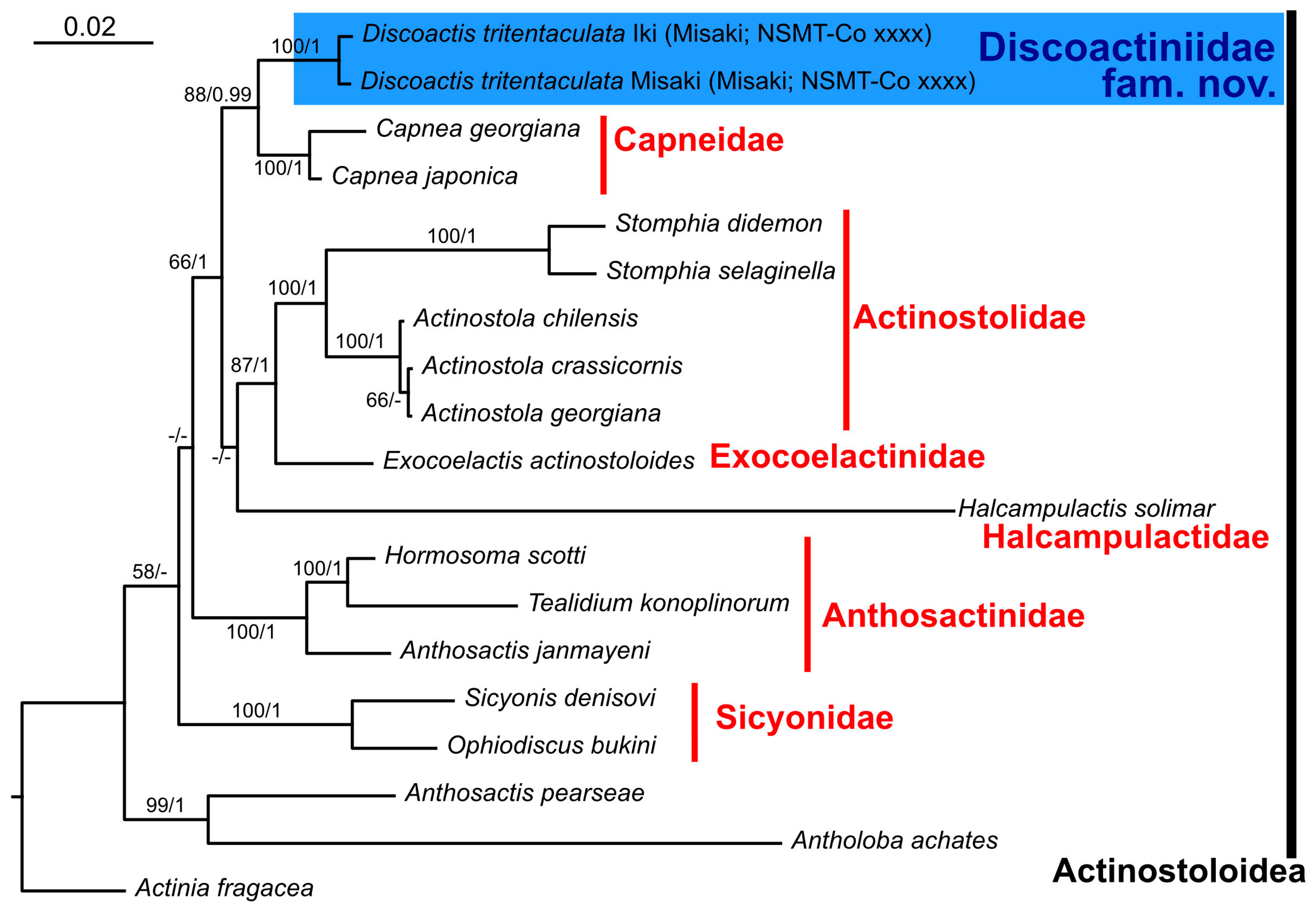 Diversity 17 00430 g007