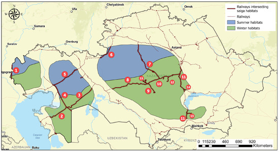 Diversity 17 00431 g0a2