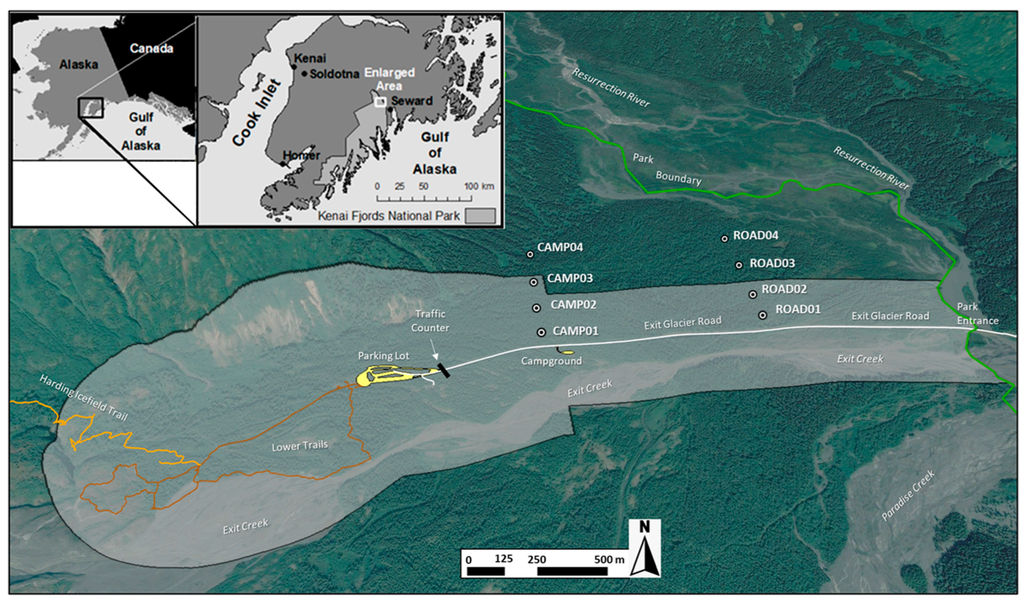 Diversity 17 00443 g001