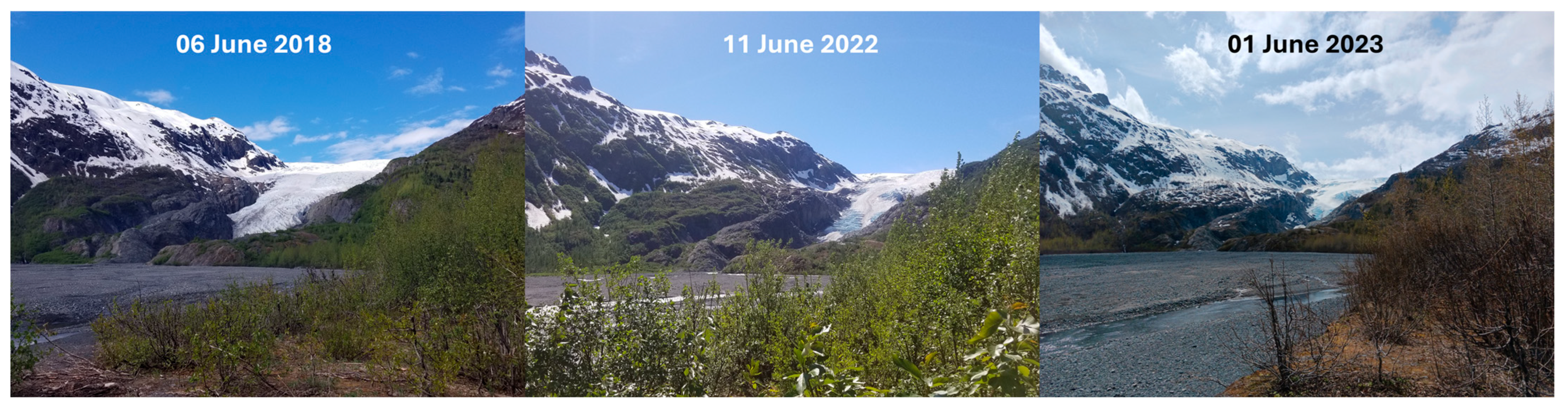 Diversity 17 00443 g002