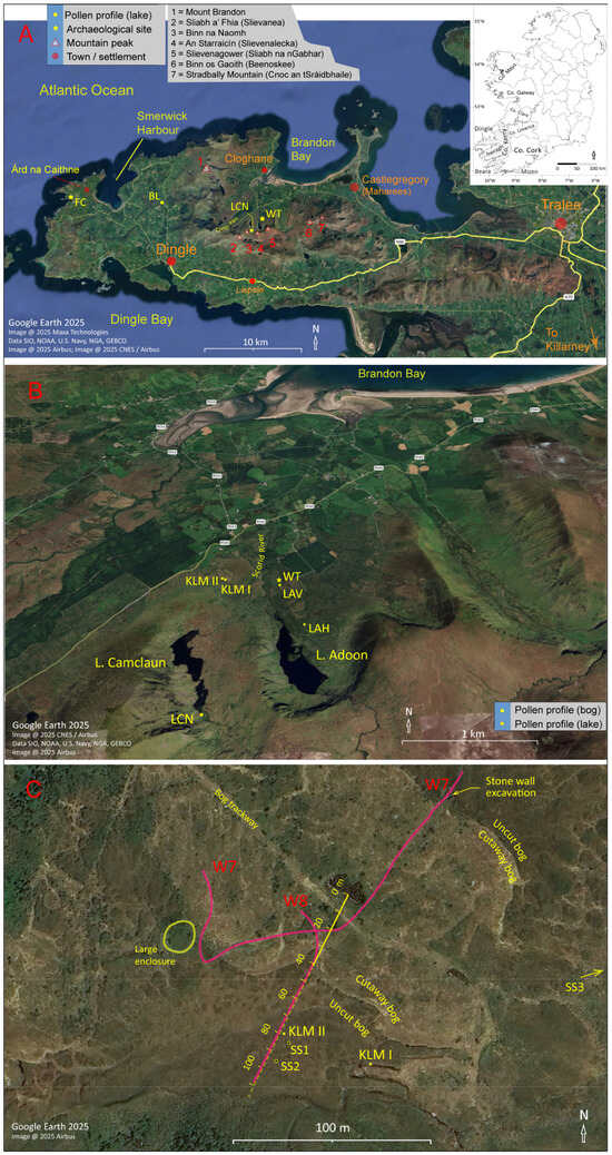 Diversity 17 00456 g001