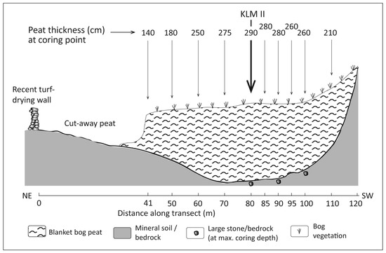 Diversity 17 00456 g002